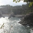 서귀포자연휴양림야영장 이미지