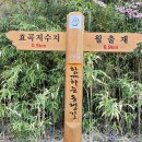 백운산둘레길9코스 네이버블로그