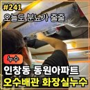 동양가배관 - 남동구 은봉로419번길 69-1 | 241.[ 인창동누수 ] 인창동 동양아파트 화장실누수 오수 배관공사 작업후기