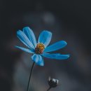 광교미소모아내과의원 이미지