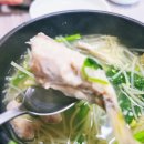 송강복어 | 🍲 거제 고현동 점심맛집 추천! 해장 끝판왕 송강복어 은복복어국 내돈내산 후기