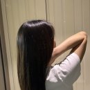 기지시연합의원 이미지