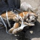 남성냉동 이미지