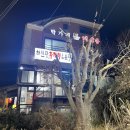 황제탕 | 박가네해신탕 I 내돈내산 문어가 들어간 황제탕 후기 및 주의할 점