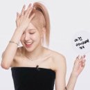 흰둥아 놀자 | 회피뉴이어