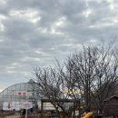 꽃길을 따라서 체험학습장 | 광주 근교 아이랑 체험 하비스트랜드 솔직후기