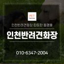 펫씨유