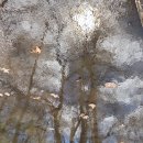 [법회] 2025.4.06.. 현기 큰스님 좌탈입망 이미지