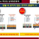 다인로얄팰리스3차 이미지