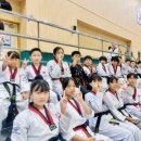 용인대 코리아 태권도 이미지