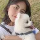 💜민도희 반려둥이💜 이미지