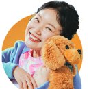 정가축병원 이미지