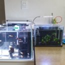 창대세탁소 이미지