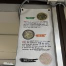 예술로 여는 서귀포의 봄<지드림_春(춘)夏(하)秋(추)冬(동)> | 맛집] BTS 진도 반한 제주 몸국 맛집! 서귀포 “몰고랑식당” 내돈내산 솔직후기 (ft. 생고사리 제육볶음)