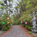 김삿갓면-23 이미지