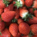 북촌농장 이미지