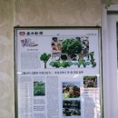 선바위가든 이미지