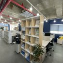 에이스공인중개사사무소 이미지