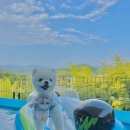 더포레펜션 이미지