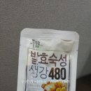 풀무원 발효숙성 생강 480 쇼가올 효능 이미지