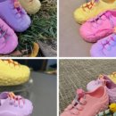 썬플랫폼 이미지