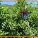 다사농장 이미지