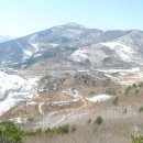 매봉산 티스토리