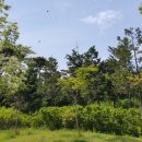 무네미로448번길 이미지