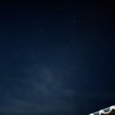 차꽃오미 이미지