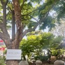 하남미가 | 하남 미사경정공원 카페추천, 미사장