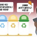 토마토여행사주 이미지