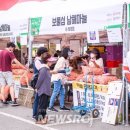남해마늘