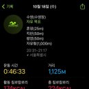 수영-101 이미지