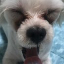 마벨펫 천안점 이미지