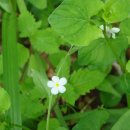 성수산자연휴양림 이미지