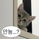 말랑 이미지