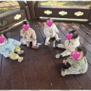 늘푸른몬테소리어린이집 이미지