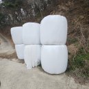 영주볏짚 이미지