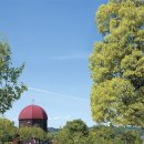 모쿠모쿠 이미지