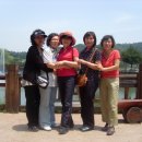 김창선농장 이미지