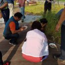 사선대황토펜션 이미지