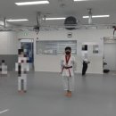 CHA태권도 이미지