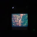 천지연 한증막 이미지