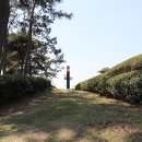 (주)보향다원 이미지