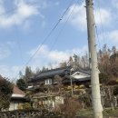 현주농장 | 우당탕 일본여행기 3편 - 후쿠오카 쇼핑데이, 이치란라멘, 편의점푸딩, 로피아마트