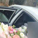 플랑드주아 이미지