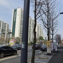 그냥동네안경원 | [대전 탄방 안경] 세컨페이스 안경원 – 감성+가격 둘 다 잡은 안경 맞춤 후기 (+가격/분위기/재방문)