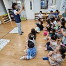 숲속에는 이미지