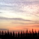 광주공항 이미지