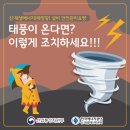 태풍센터근처 이미지